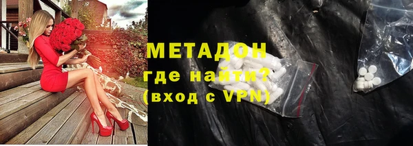 стаф Аркадак