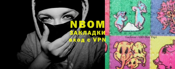 стаф Аркадак