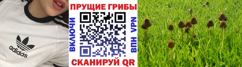 Галлюциногенные грибы прущие грибы  Печоры 